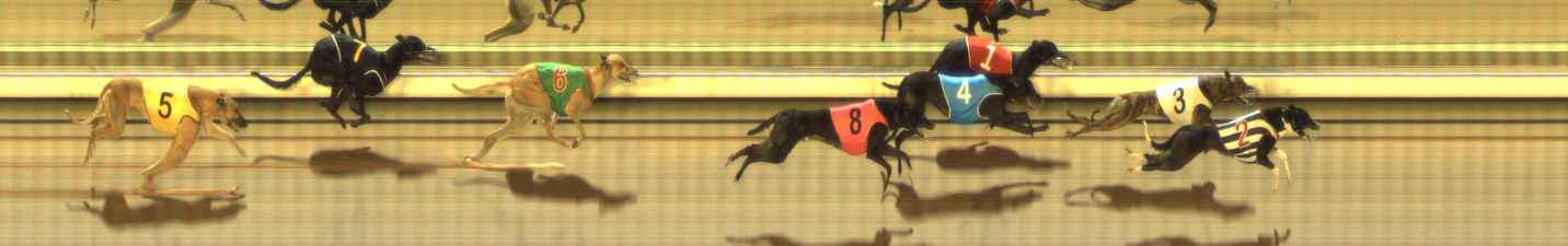 Photo finish for The Meadows Race 3
