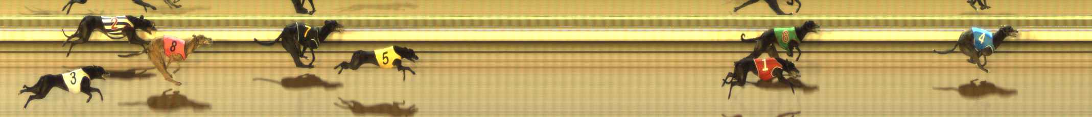 Photo finish for The Meadows Race 4