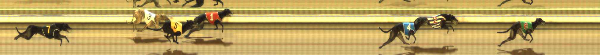 Photo finish for The Meadows Race 5
