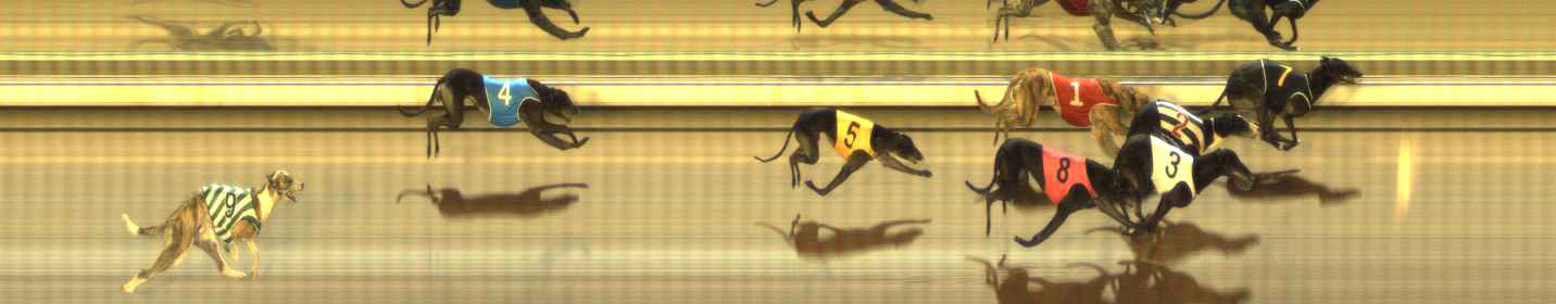 Photo finish for The Meadows Race 6