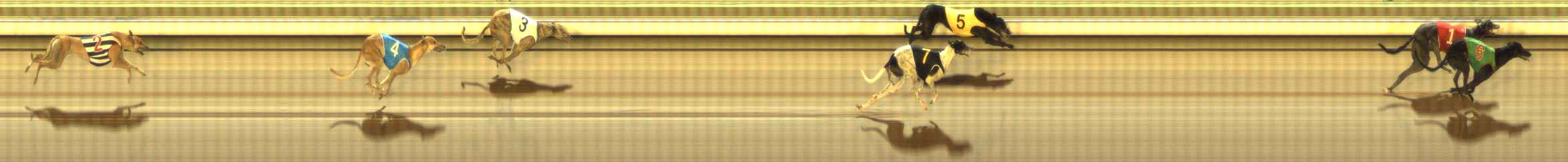 Photo finish for The Meadows Race 7