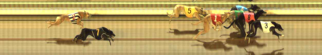 Photo finish for The Meadows Race 8