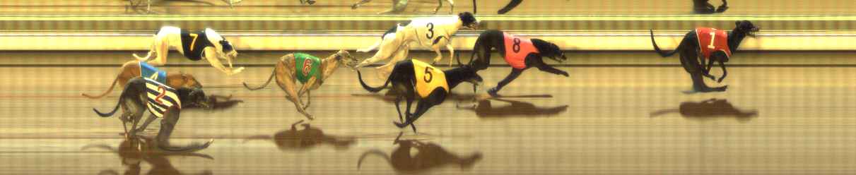 Photo finish for The Meadows Race 9