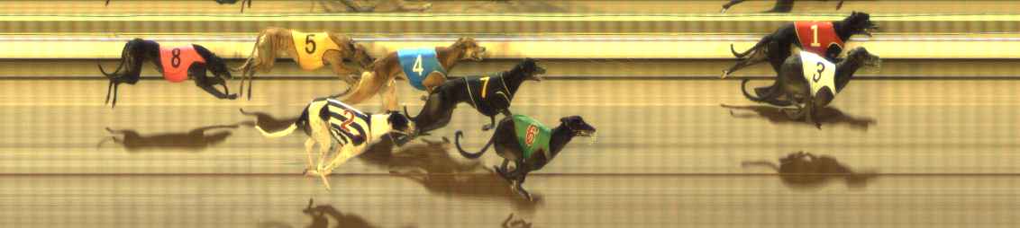 Photo finish for The Meadows Race 11