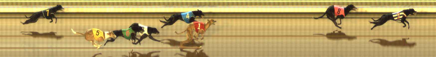 Photo finish for The Meadows Race 12
