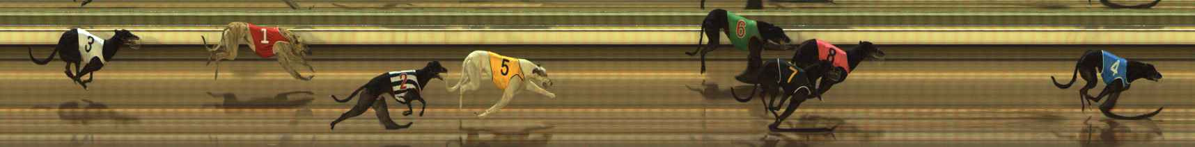 Photo finish for The Meadows Race 1