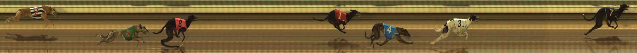 Photo finish for The Meadows Race 2