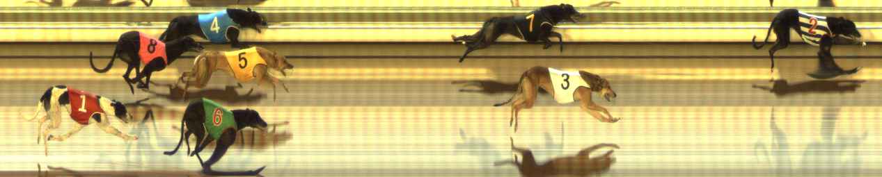 Photo finish for The Meadows Race 4