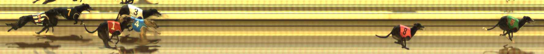 Photo finish for The Meadows Race 5