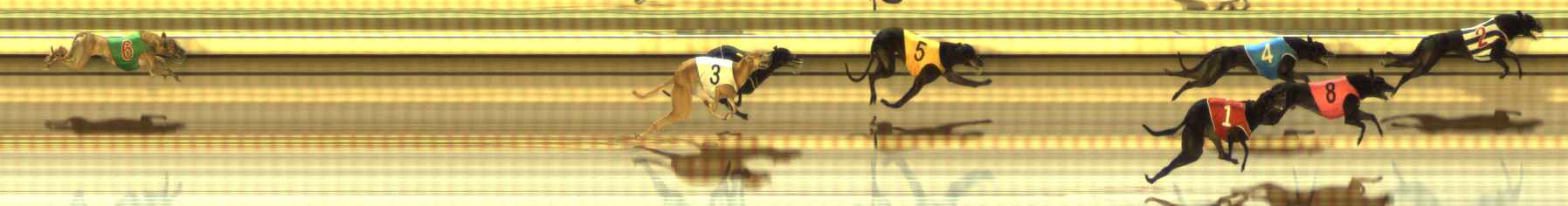 Photo finish for The Meadows Race 6