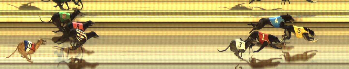 Photo finish for The Meadows Race 7