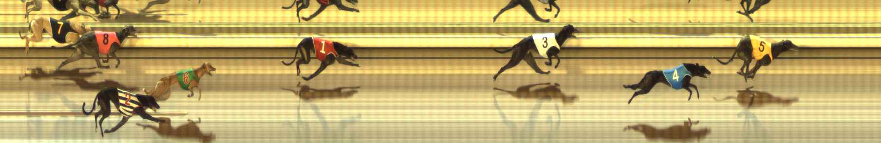 Photo finish for The Meadows Race 8