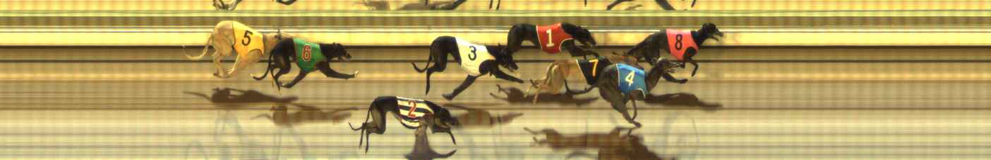 Photo finish for The Meadows Race 9