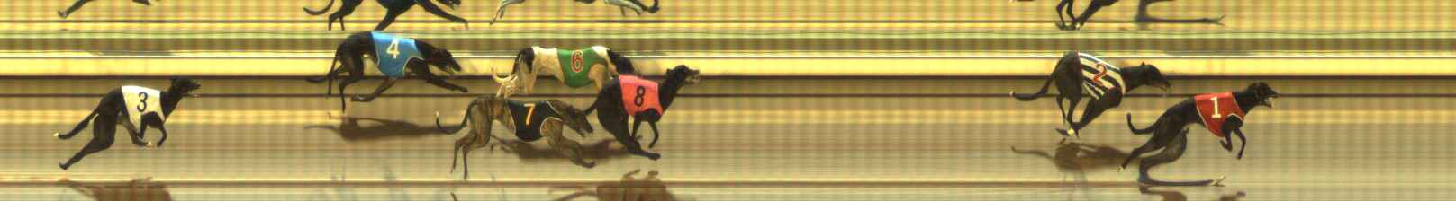 Photo finish for The Meadows Race 10