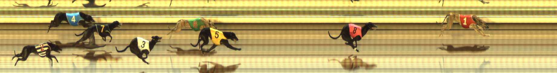 Photo finish for The Meadows Race 12