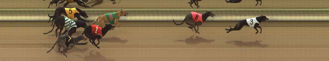 Photo finish for The Meadows Race 1