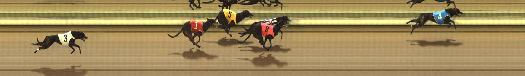 Photo finish for The Meadows Race 2