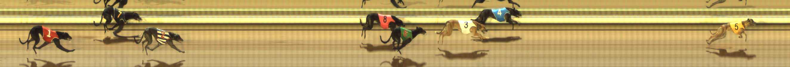 Photo finish for The Meadows Race 3