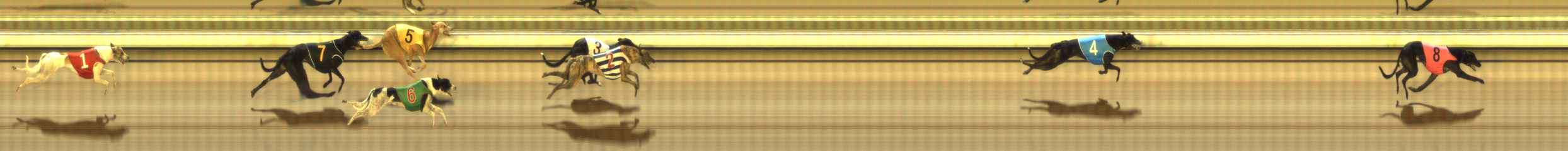 Photo finish for The Meadows Race 4