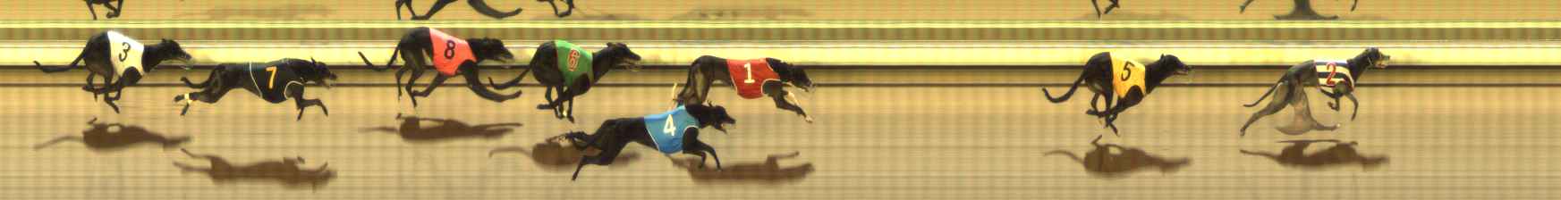 Photo finish for The Meadows Race 5