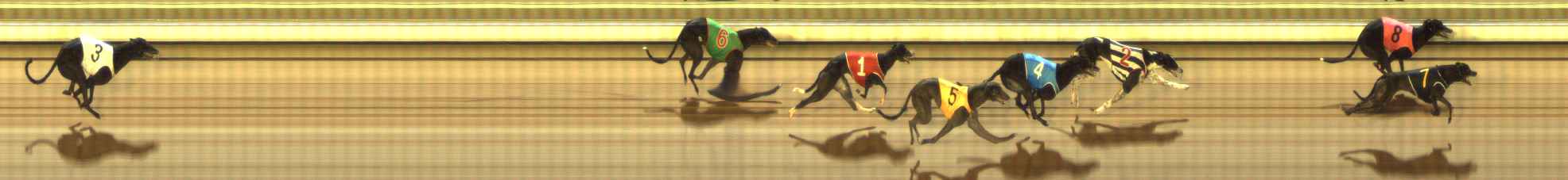 Photo finish for The Meadows Race 7