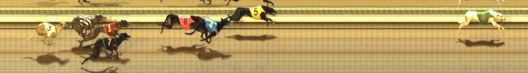 Photo finish for The Meadows Race 8
