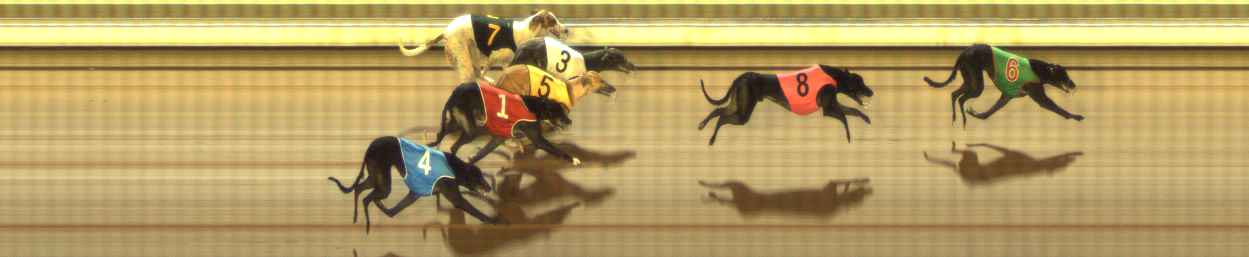 Photo finish for The Meadows Race 9