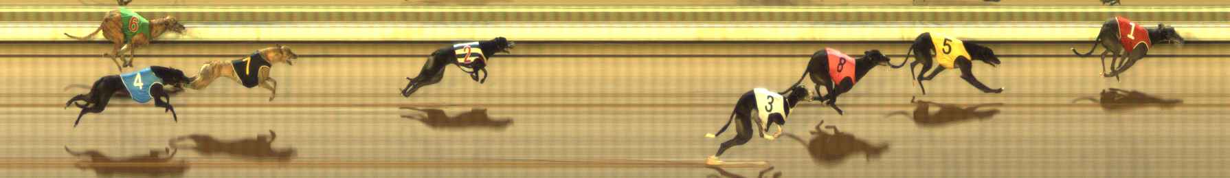 Photo finish for The Meadows Race 10
