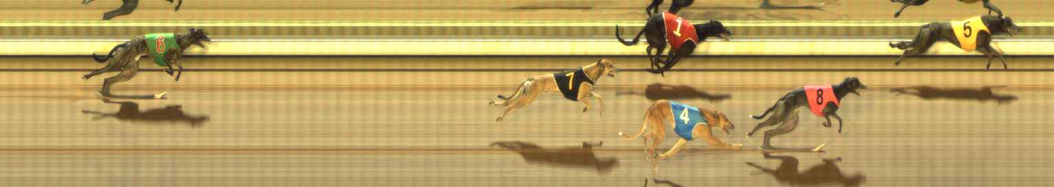 Photo finish for The Meadows Race 11