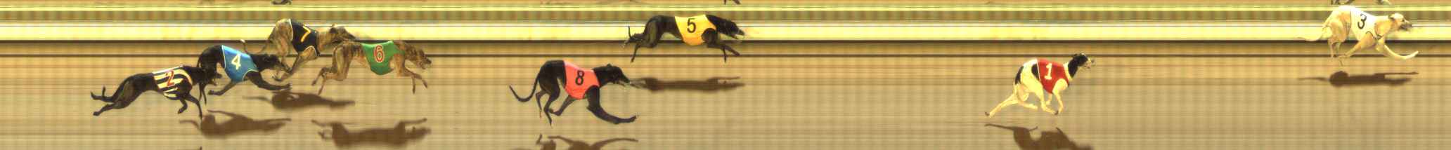 Photo finish for The Meadows Race 12
