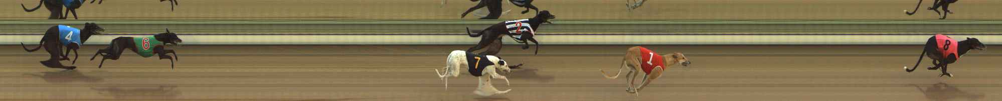 Photo finish for The Meadows Race 1