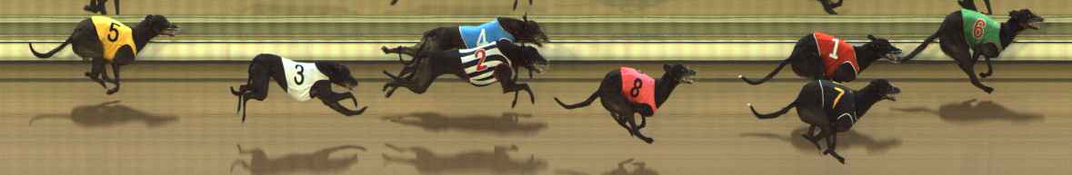 Photo finish for The Meadows Race 3