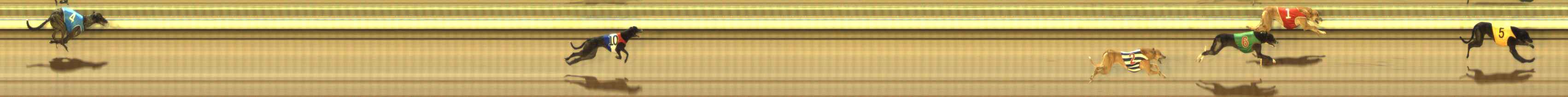 Photo finish for The Meadows Race 4