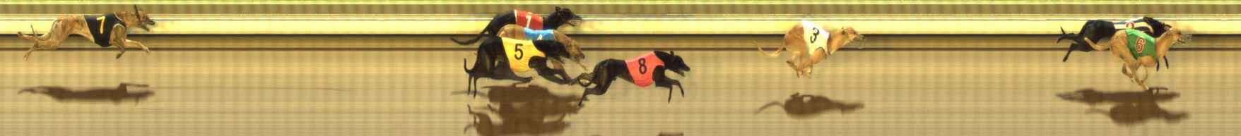 Photo finish for The Meadows Race 5