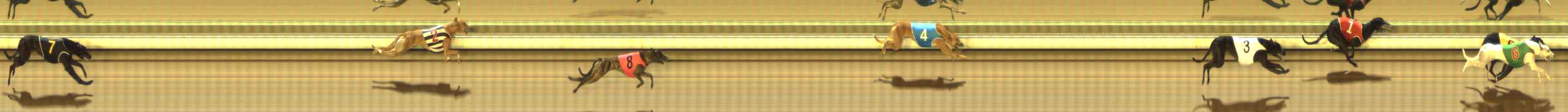Photo finish for The Meadows Race 6