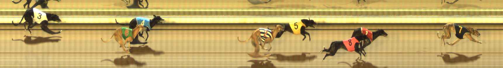 Photo finish for The Meadows Race 7