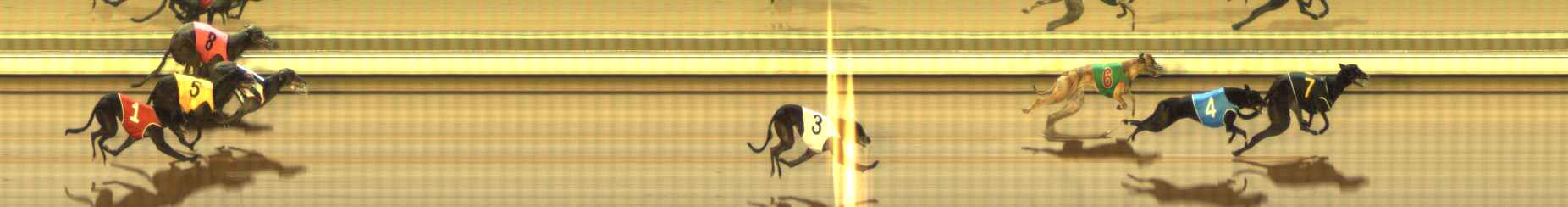 Photo finish for The Meadows Race 8