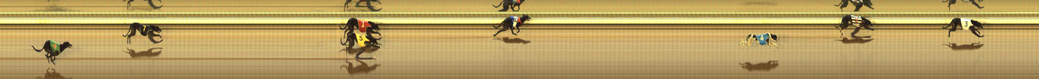 Photo finish for The Meadows Race 9