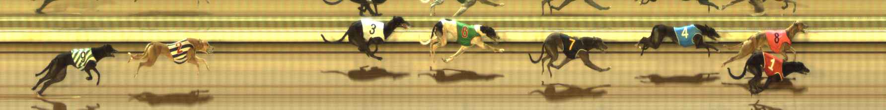Photo finish for The Meadows Race 10