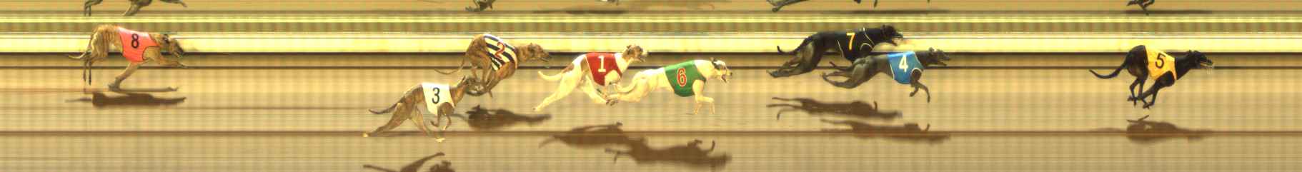 Photo finish for The Meadows Race 11