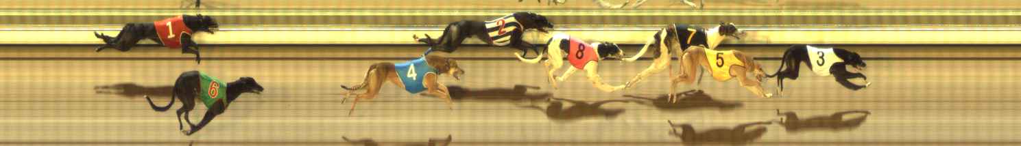 Photo finish for The Meadows Race 12