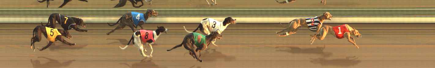Photo finish for The Meadows Race 2