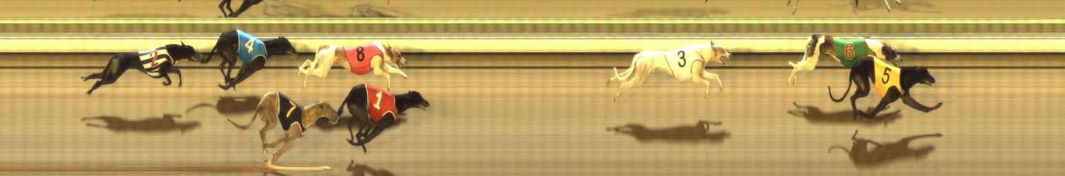 Photo finish for The Meadows Race 4