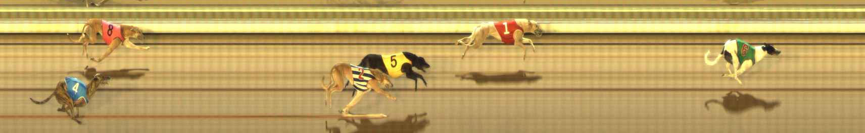 Photo finish for The Meadows Race 5