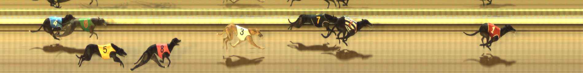 Photo finish for The Meadows Race 6