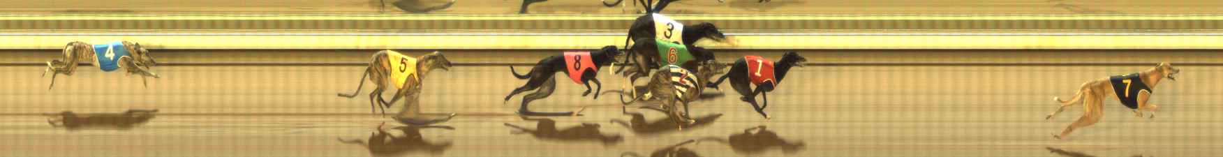 Photo finish for The Meadows Race 7