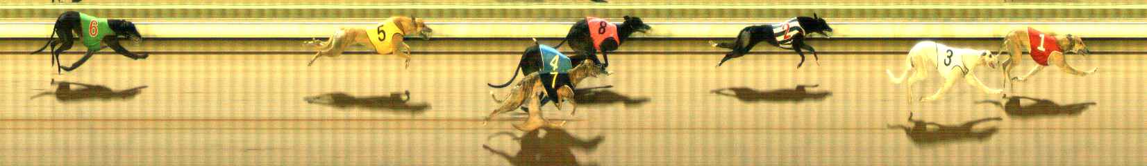 Photo finish for The Meadows Race 8