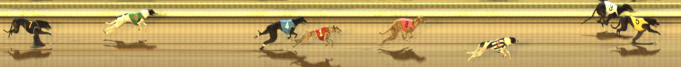 Photo finish for The Meadows Race 9