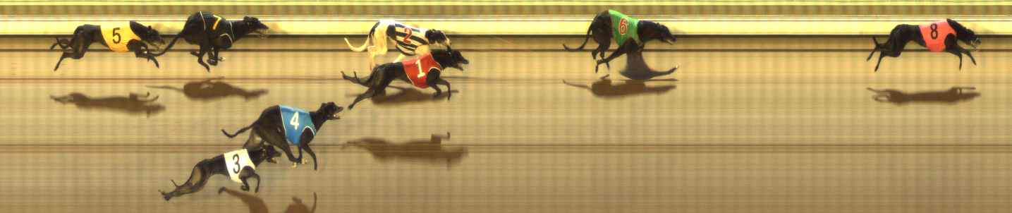 Photo finish for The Meadows Race 10