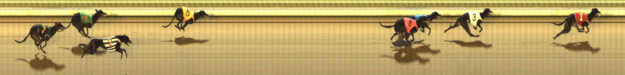 Photo finish for The Meadows Race 12